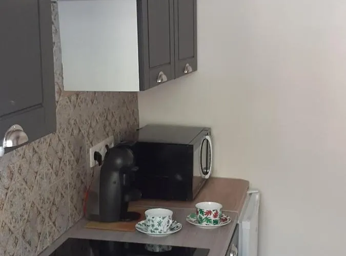 Mont2roux Lägenhet Montpeyroux (Puy-de-Dome)